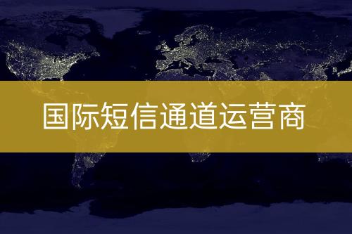 國際短信通道運(yùn)營商