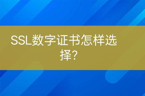 SSL數(shù)字證書怎樣選擇？