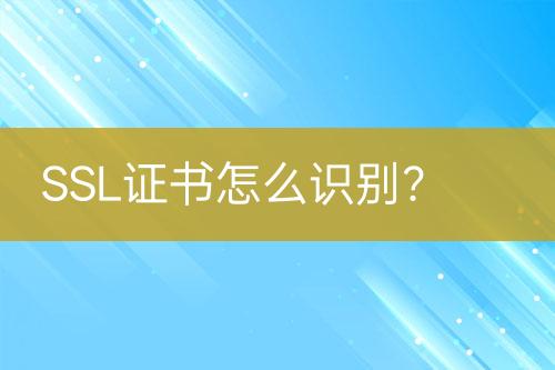 SSL證書怎么識別？