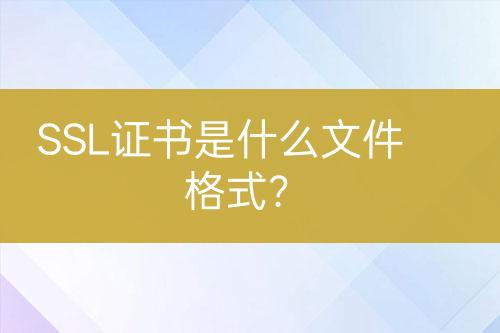 SSL證書是什么文件格式？