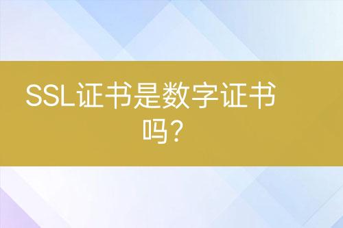 SSL證書是數(shù)字證書嗎？