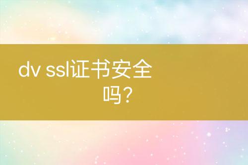 dv ssl證書安全嗎？