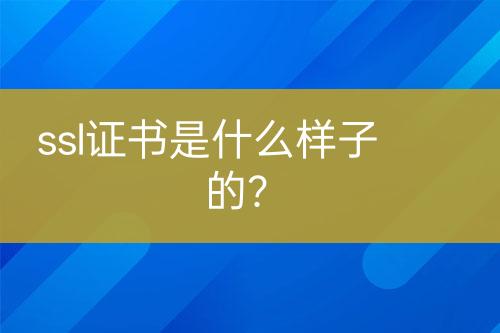 ssl證書是什么樣子的？