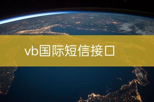 vb國際短信接口
