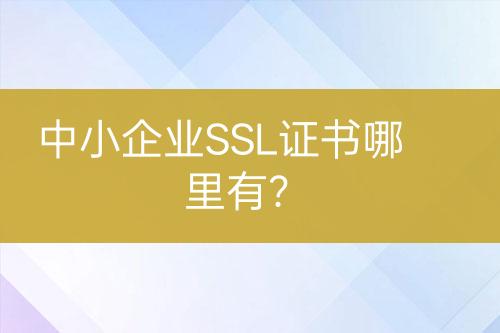 中小企業(yè)SSL證書哪里有？