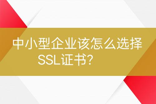 中小型企業(yè)該怎么選擇SSL證書？