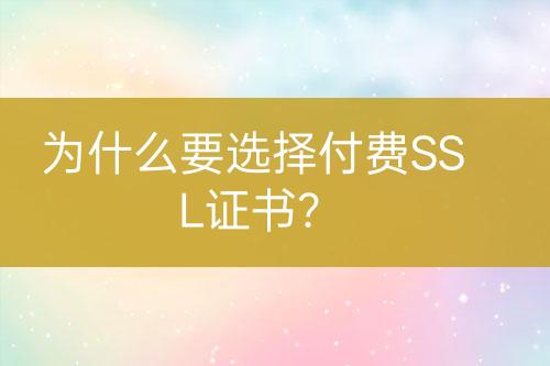 為什么要選擇付費(fèi)SSL證書？