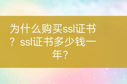 為什么購買ssl證書？ssl證書多少錢一年？