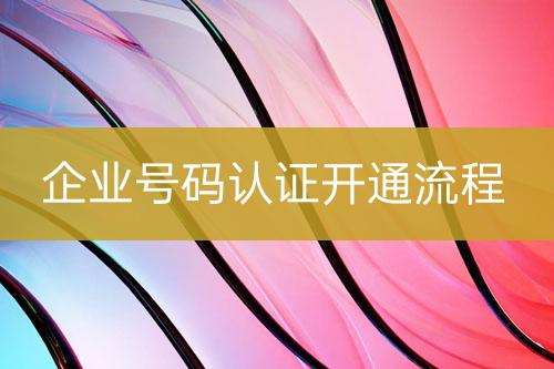 企業(yè)號(hào)碼認(rèn)證實(shí)施流程