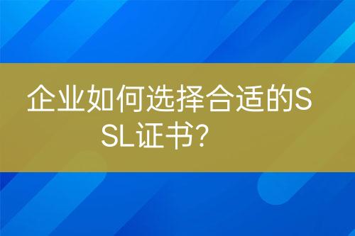 企業(yè)如何選擇合適的SSL證書？