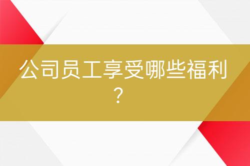公司員工享受哪些福利？