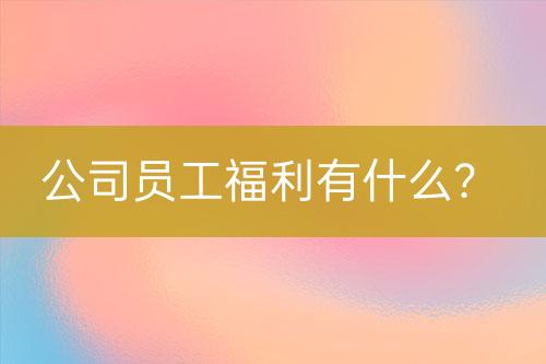 公司員工福利有什么？