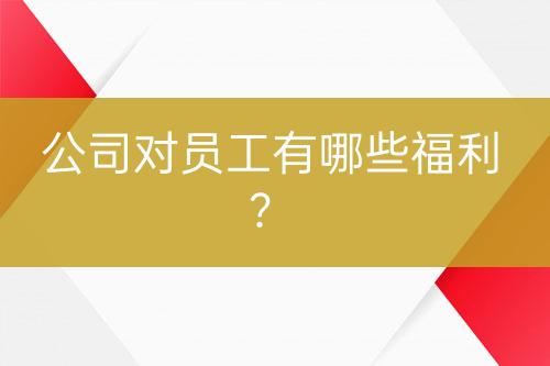 公司對(duì)員工有哪些福利？