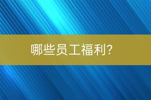 哪些員工福利？