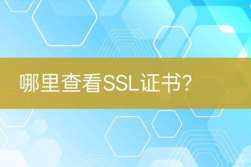 哪里查看SSL證書？