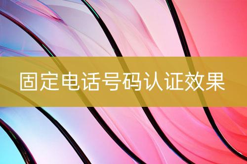 固定電話號(hào)碼認(rèn)證效果