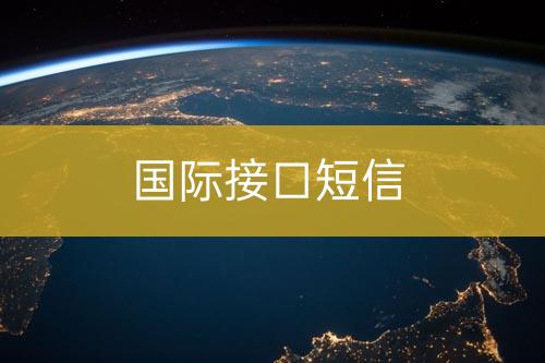 國(guó)際接口短信