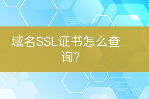 域名SSL證書怎么查詢？