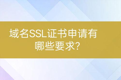 域名SSL證書申請(qǐng)有哪些要求？