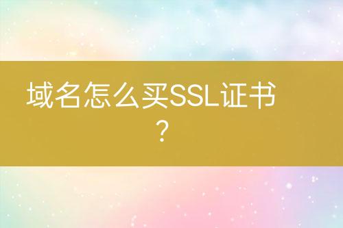域名怎么買SSL證書？