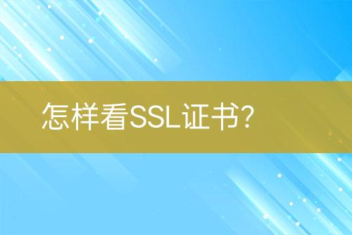 怎樣看SSL證書？