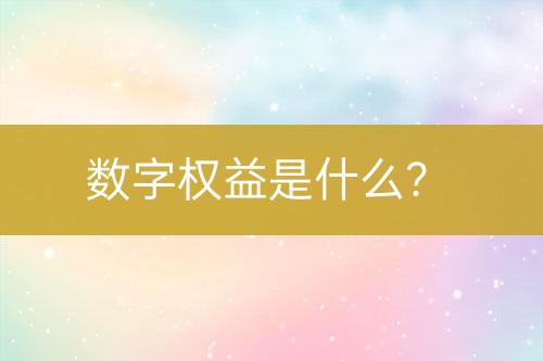 數(shù)字權益是什么？