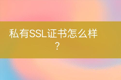 私有SSL證書怎么樣？