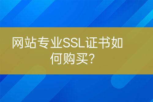 網(wǎng)站專業(yè)SSL證書如何購買？