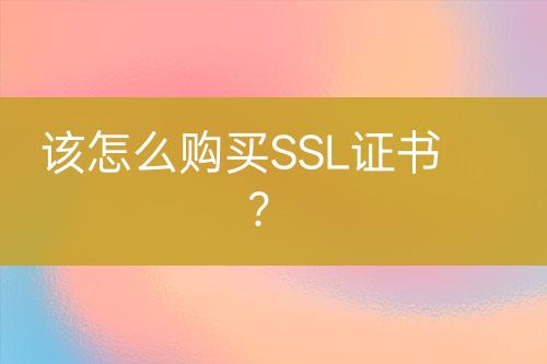 該怎么購(gòu)買SSL證書？